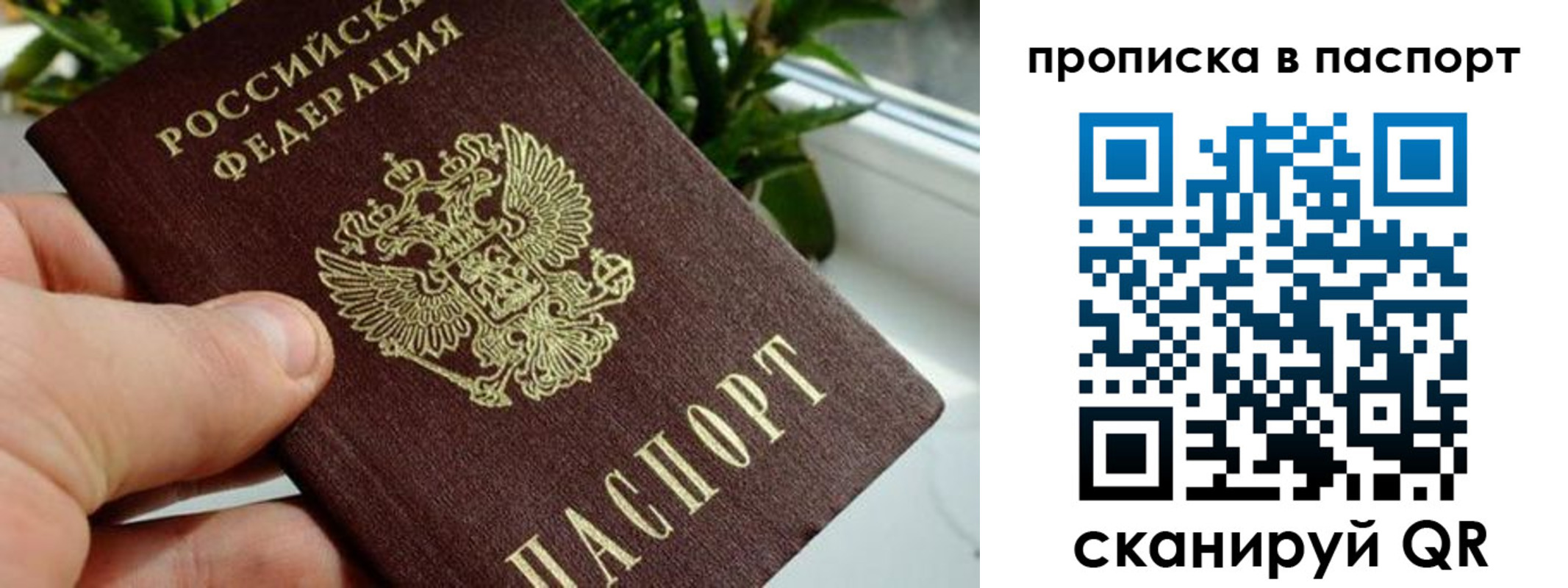 пропишу в квартире в Новоалександровске